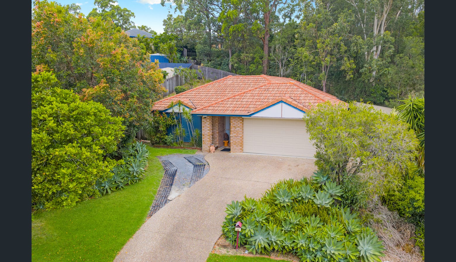 Elanora